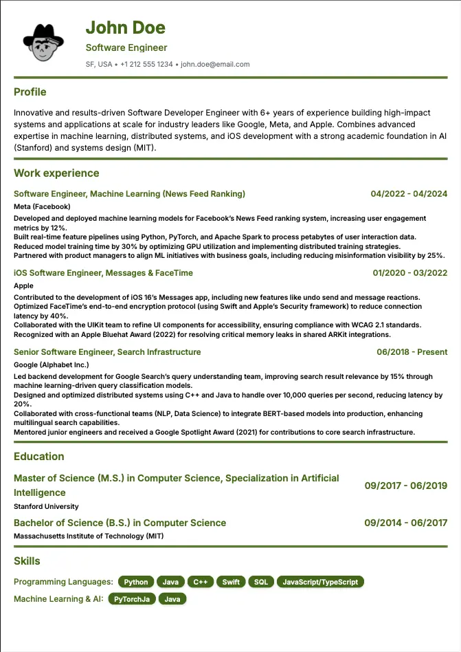 Resume preview showing a professional resume template